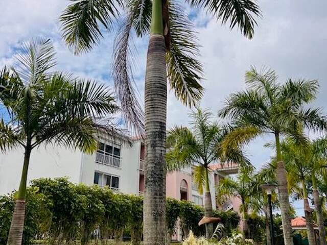 Appartement À Louer — photo du bien