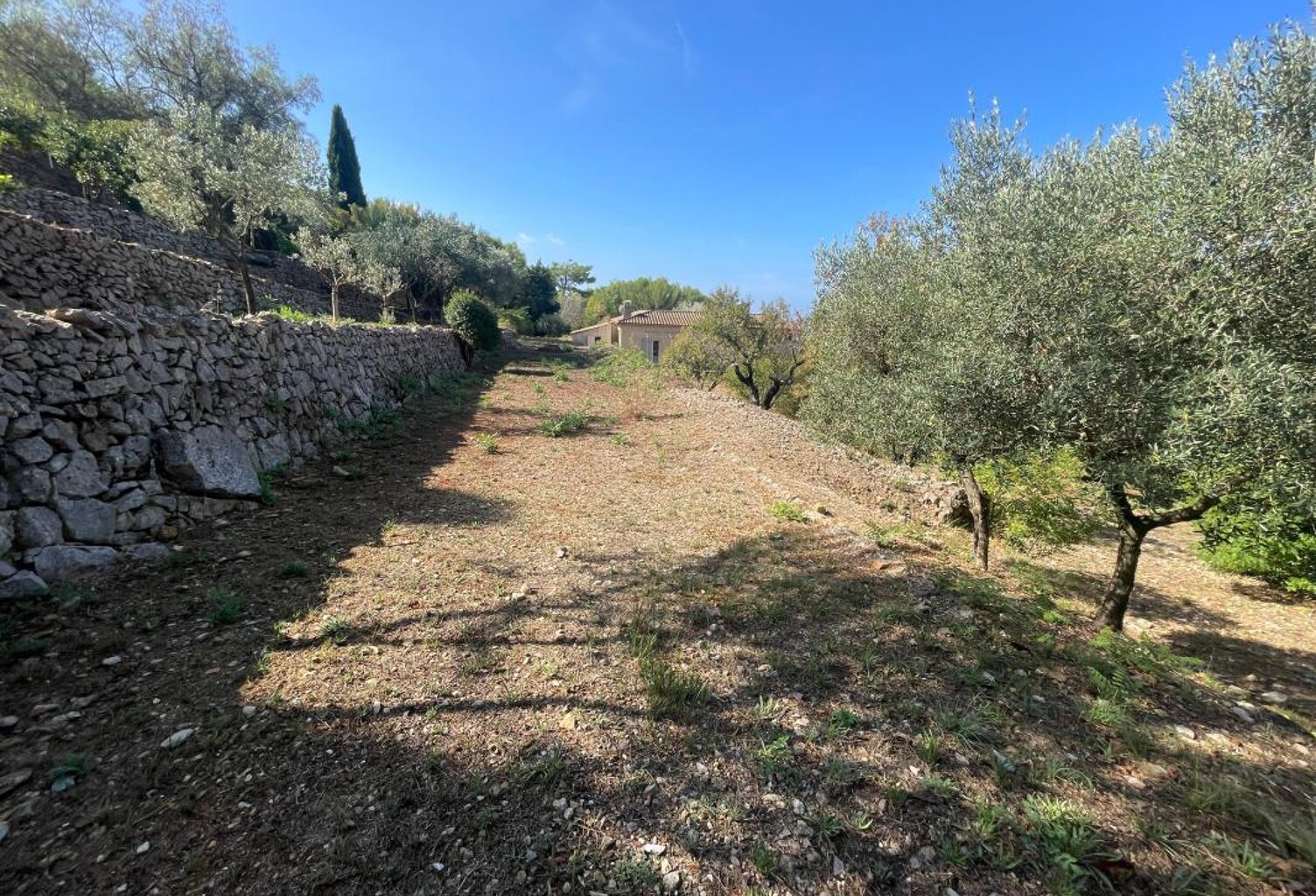 OLLIOULES — Rare : Terrain de 1 337 m² en restanques — photo 1