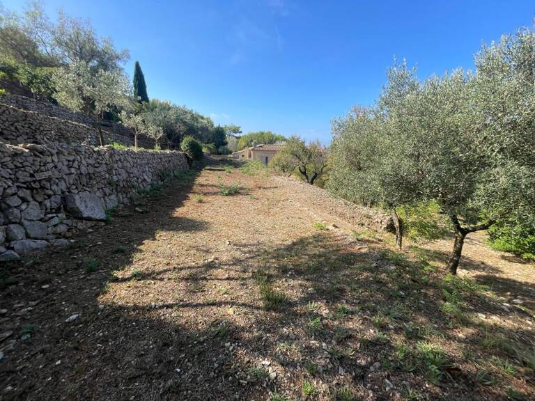 OLLIOULES — Rare : Terrain de 1 337 m² en restanques — photo 1