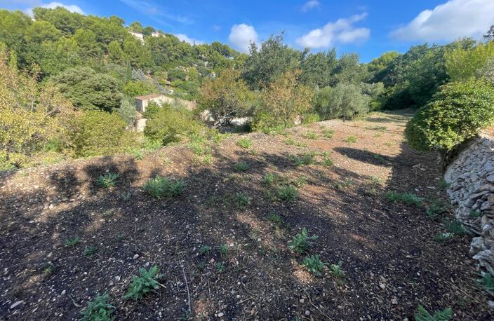 OLLIOULES — Rare : Terrain de 1 337 m² en restanques — photo 2