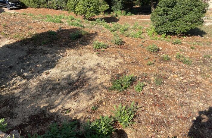 OLLIOULES — Rare : Terrain de 1 337 m² en restanques — photo 5