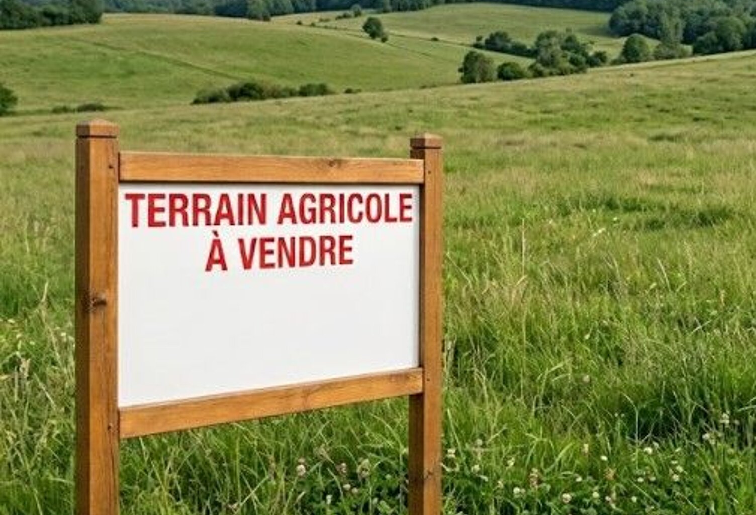 Terrain agricole  de 34.470m² à vendre — photo 1