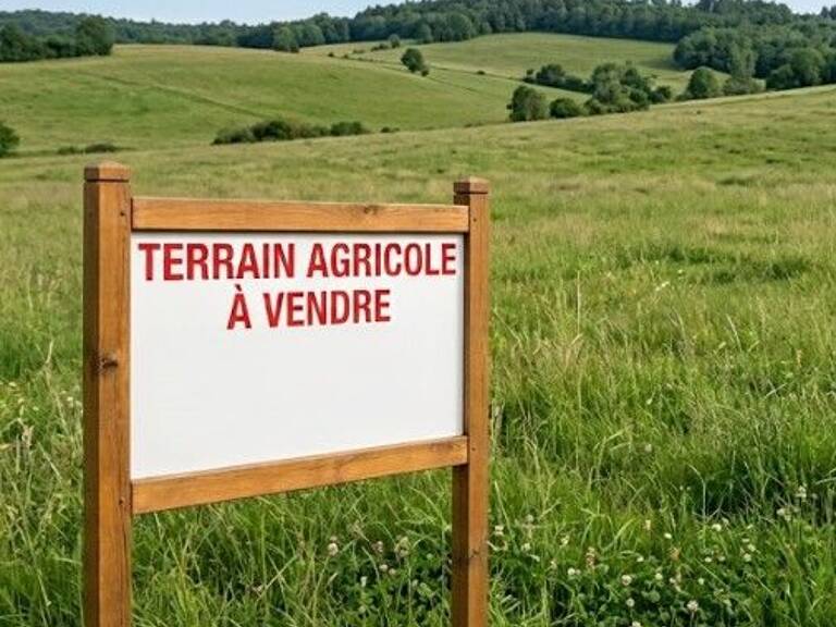 Terrain agricole  de 34.470m² à vendre — photo 1