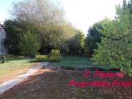 Maison à rénover totalement Coupvray 3 pièce(s) 57 m2(1440 m² de terrain) — photo 2