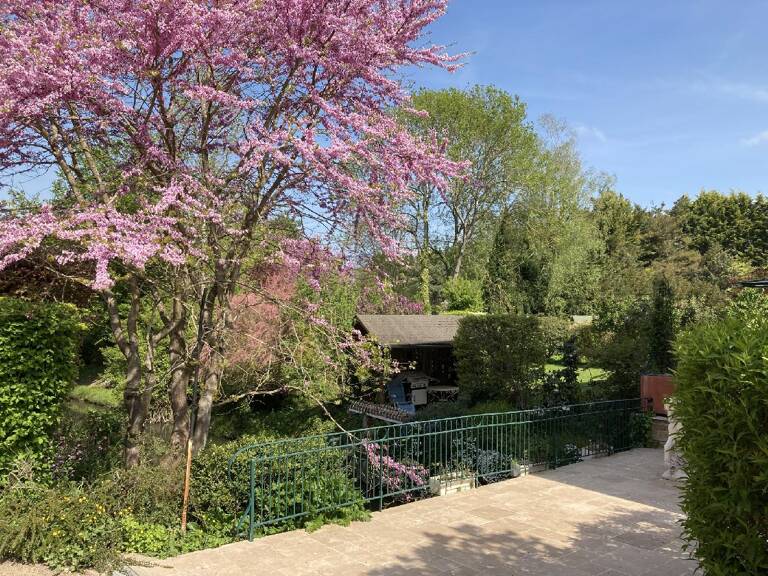 Maison — photo 1
