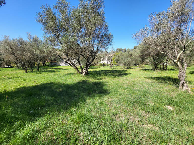 Dépt Hérault (34) - Montferrier sur Lez - À vendre - Terrain — photo 1