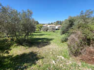 Dépt Hérault (34) - Montferrier sur Lez - À vendre - Terrain — photo 3