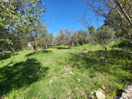 Dépt Hérault (34) - Montferrier sur Lez - À vendre - Terrain — photo 4