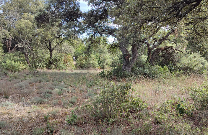 Terrain à bâtir de 1200 m2 au calme absolu — photo 2