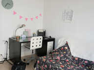 STUDIO AVEC TERRASSE PLACE DE LA VISITATION — photo 3