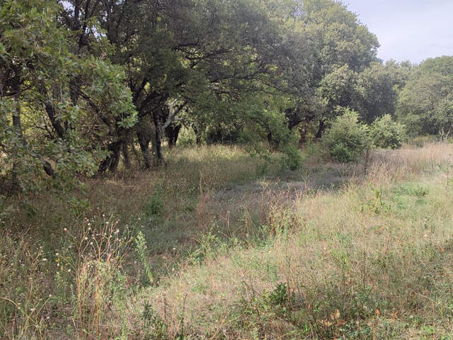 Terrain à bâtir de 1500 m2 au calme absolu — photo du bien
