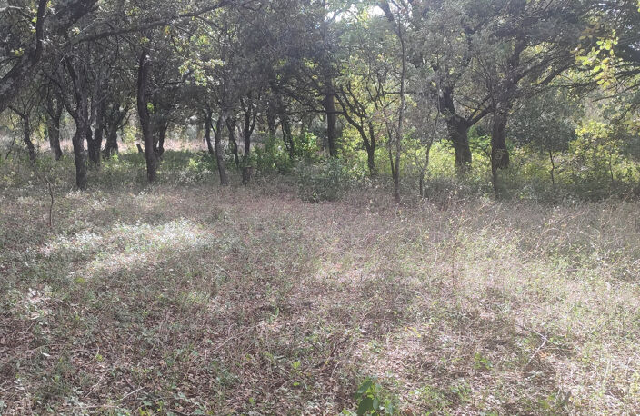 Terrain à bâtir de 1500 m2 au calme absolu — photo 2
