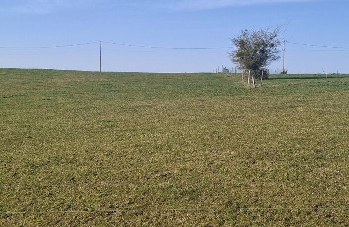 Vente Terrain à bâtir 3 691 m&sup2; — photo 4