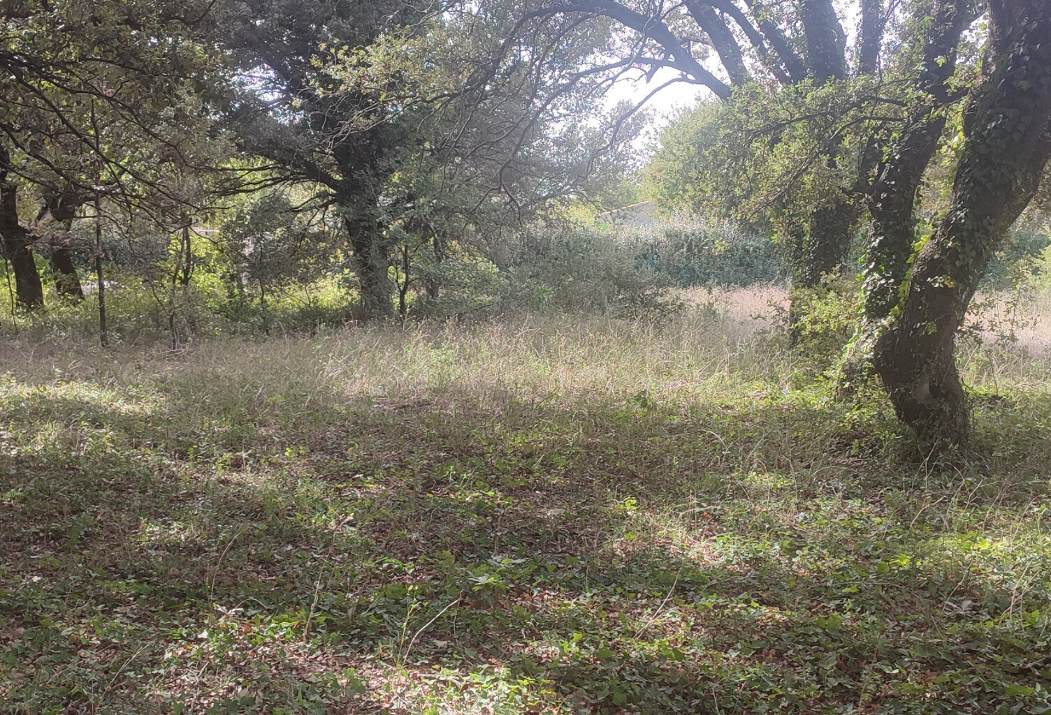 Terrain à bâtir de 1320 m2 au calme absolu — photo 1