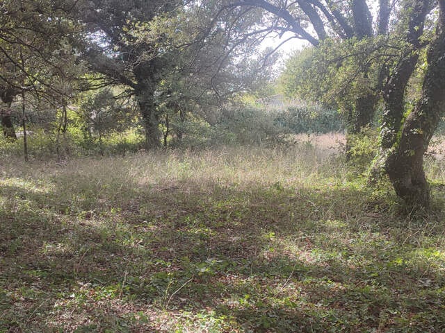 Terrain à bâtir de 1320 m2 au calme absolu — photo du bien