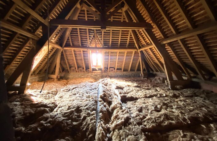 Très grande maison, un T3,  trois granges, projet touristique — photo 5
