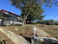Maison 3 chambres - Grand jardin arboré et sous-sol complet — photo 2