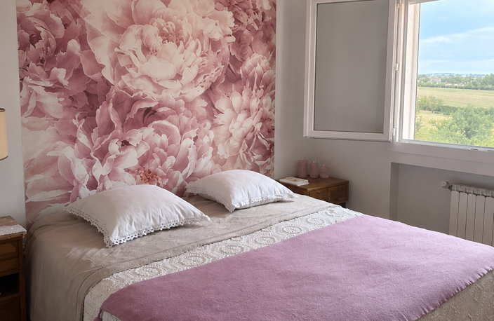 Maison SAINT MARTIN LA PLAINE — photo 5