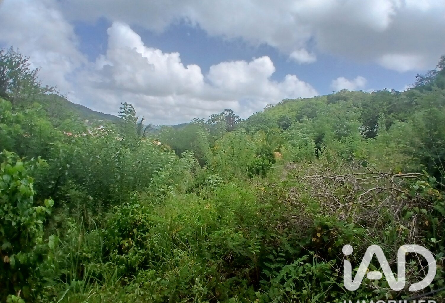 Vente Terrain 800 m&sup2; — photo 1