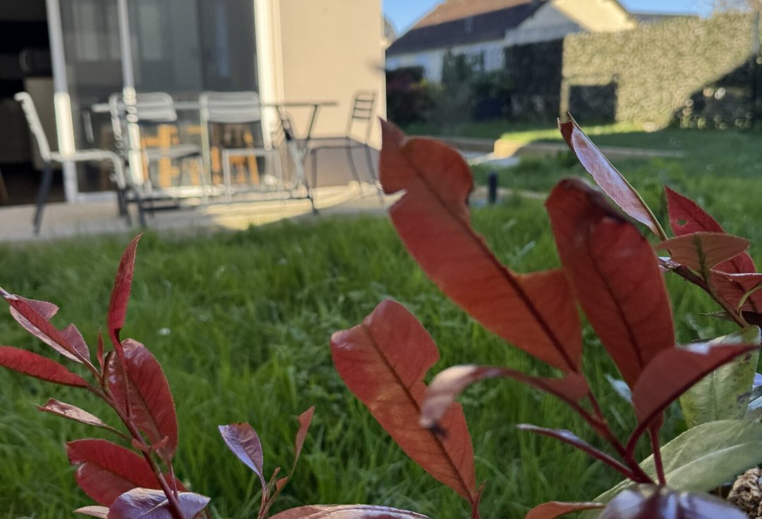 VOTRE PETIT REFUGE À DINARD studioT 1 +100m2 d'extérieur +parking  — photo 1