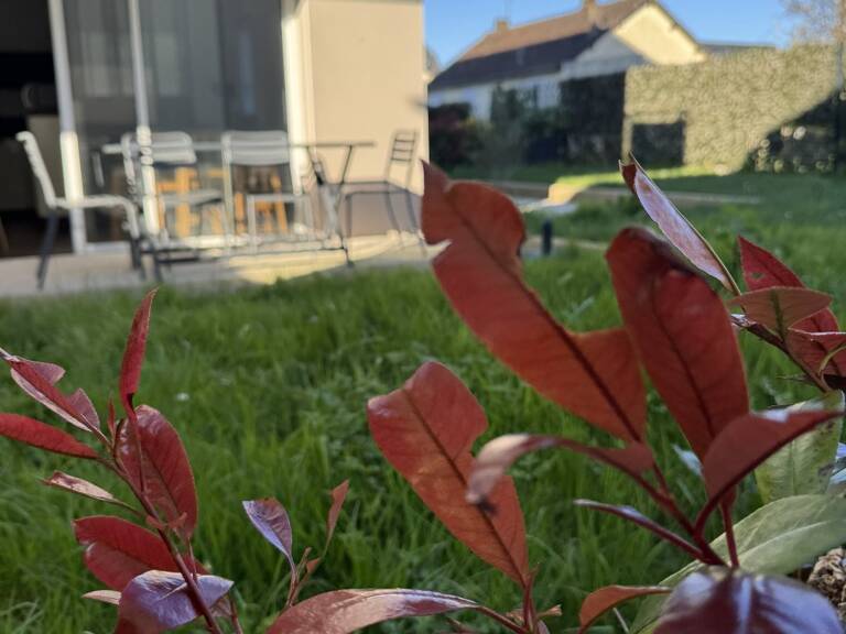 VOTRE PETIT REFUGE À DINARD studioT 1 +100m2 d'extérieur +parking  — photo 1