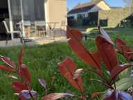 VOTRE PETIT REFUGE À DINARD studioT 1 +100m2 d'extérieur +parking  — photo 3