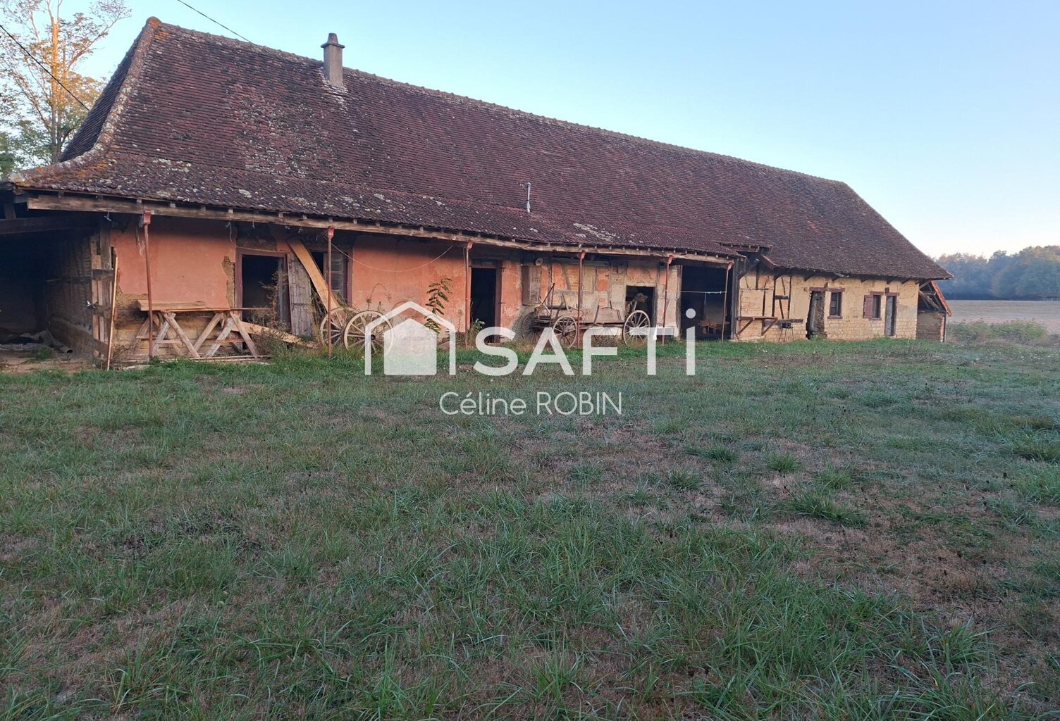 Ttes grand potentiel — photo 1