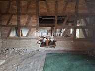 Ttes grand potentiel — photo 2