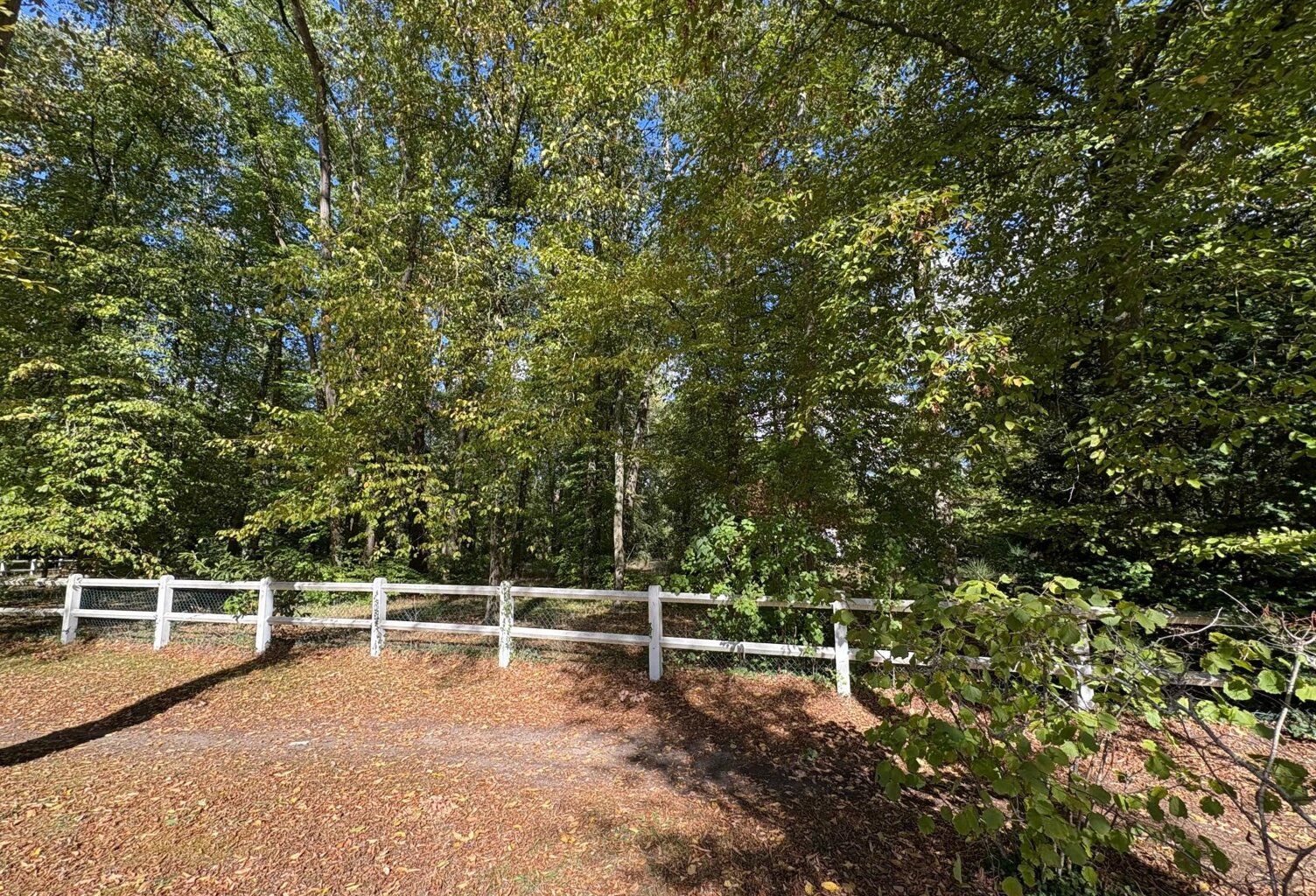 Grand terrain dans le domaine du lys — photo 1