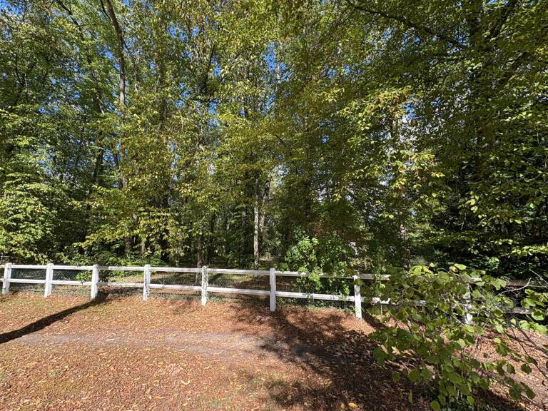 Grand terrain dans le domaine du lys — photo 1