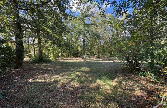 Grand terrain dans le domaine du lys — photo 2