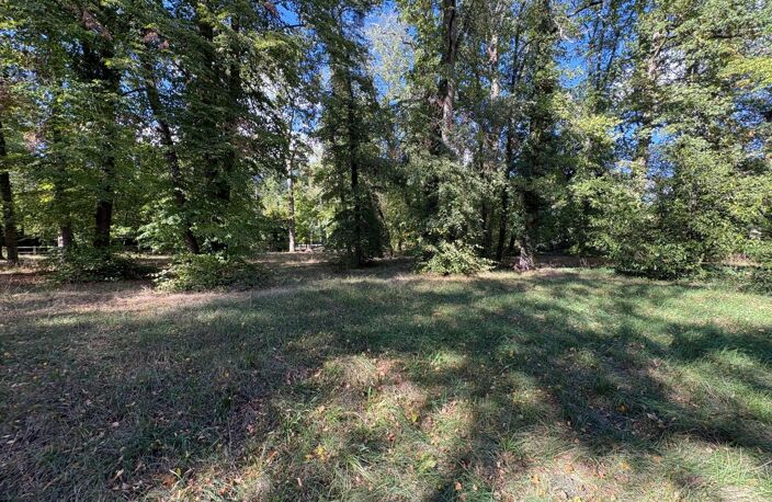 Grand terrain dans le domaine du lys — photo 3