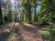Grand terrain dans le domaine du lys — photo 4