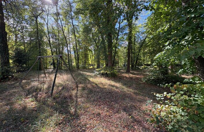 Grand terrain dans le domaine du lys — photo 4