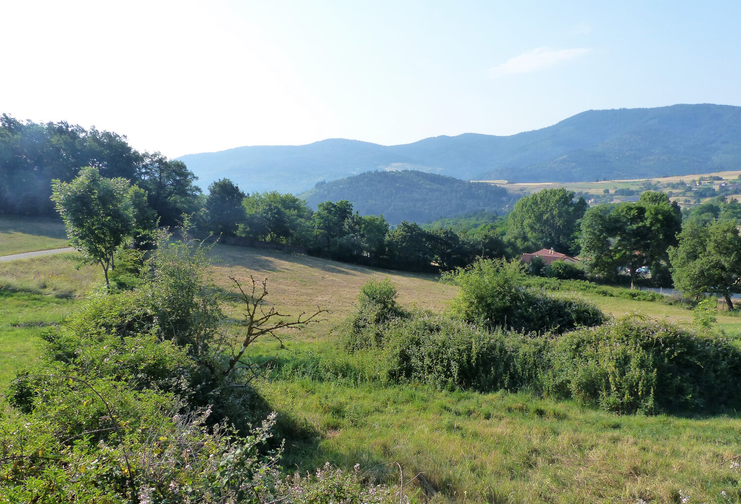 Terrain de 7250 m2 — photo 1