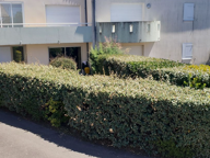 Appartement T3 Jardin et parking au calme — photo 2