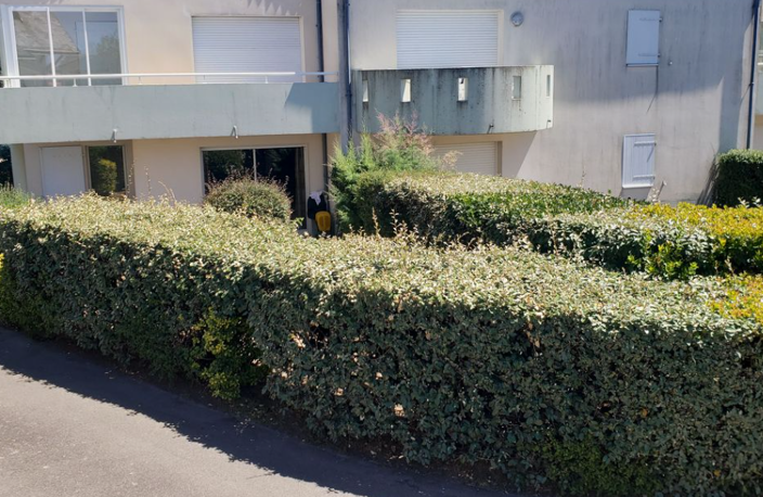Appartement T3 Jardin et parking au calme — photo 2