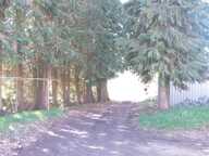Vente Maison de campagne 5 pièces — photo 4