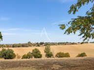 Maison en campagne — photo 3