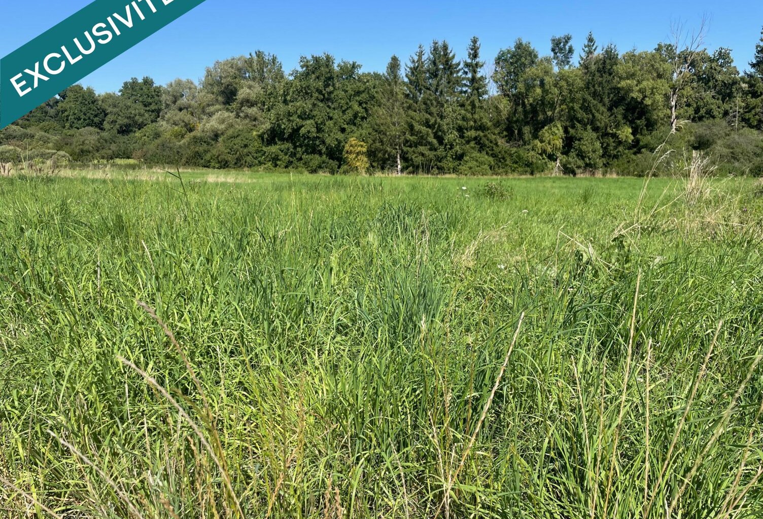 À vendre  Terrain viabilisé de 9,67 ares — photo 1