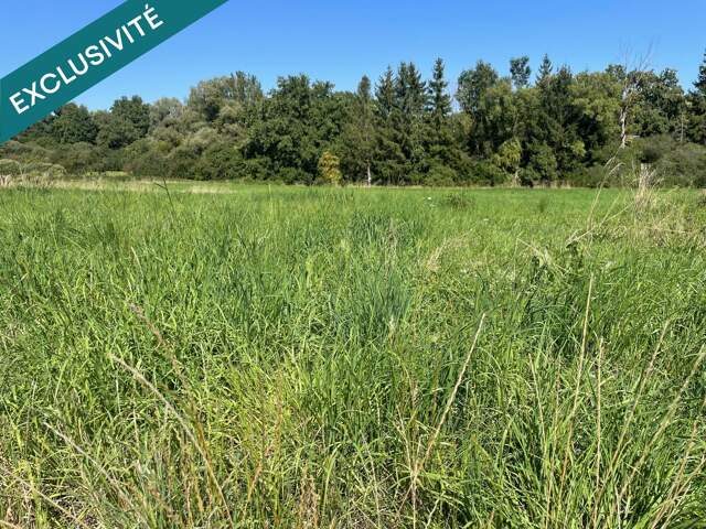À vendre  Terrain viabilisé de 9,67 ares — photo du bien