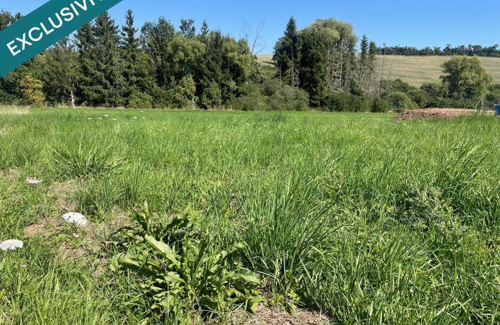 À vendre  Terrain viabilisé de 9,67 ares — photo 2