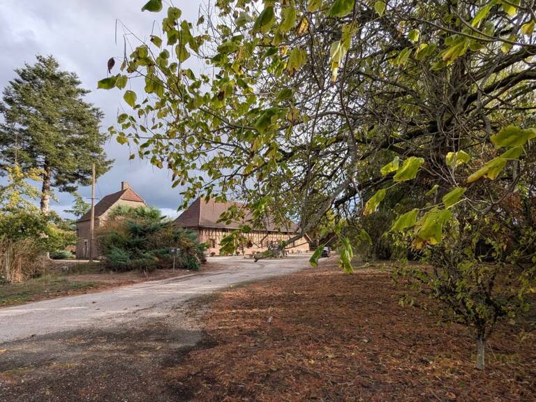 Maison et terrain — photo 1
