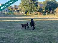 PLOUMAGOAR  Maison en pierre, jardin, au calme — photo 2