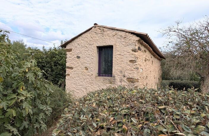 COLLOBRIÈRES  AUTHENTIQUE MAISON PROVENÇALE DE PLAIN-PIED AVEC — photo 4