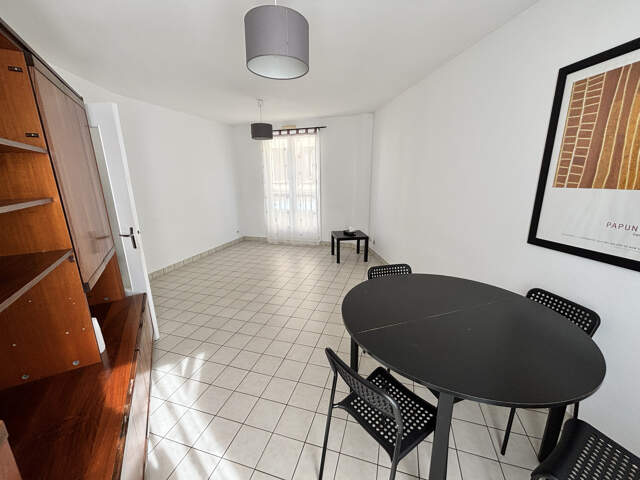 F2 60 rue Antoine Durafour — photo du bien