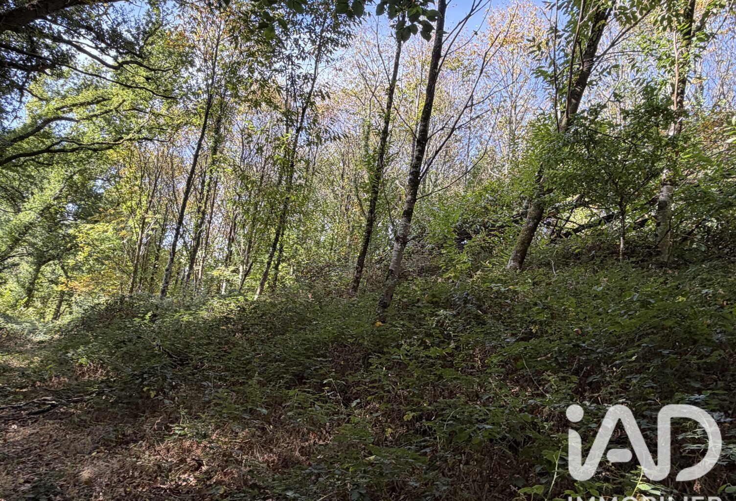 Vente Surface diverse 45 000 m&sup2; — photo 1