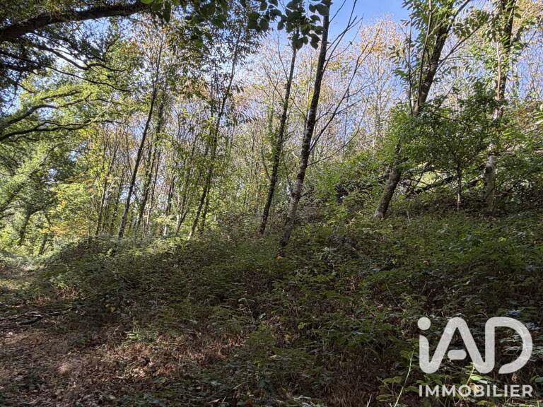 Vente Surface diverse 45 000 m&sup2; — photo 1