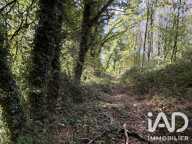 Vente Surface diverse 45 000 m&sup2; — photo 2