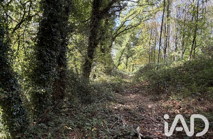 Vente Surface diverse 45 000 m&sup2; — photo 2